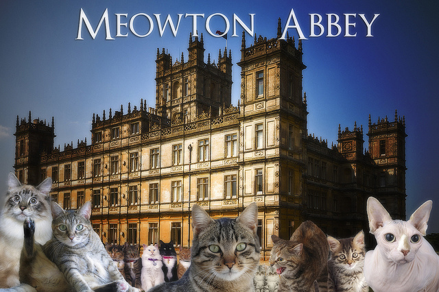 Meowton Abbey